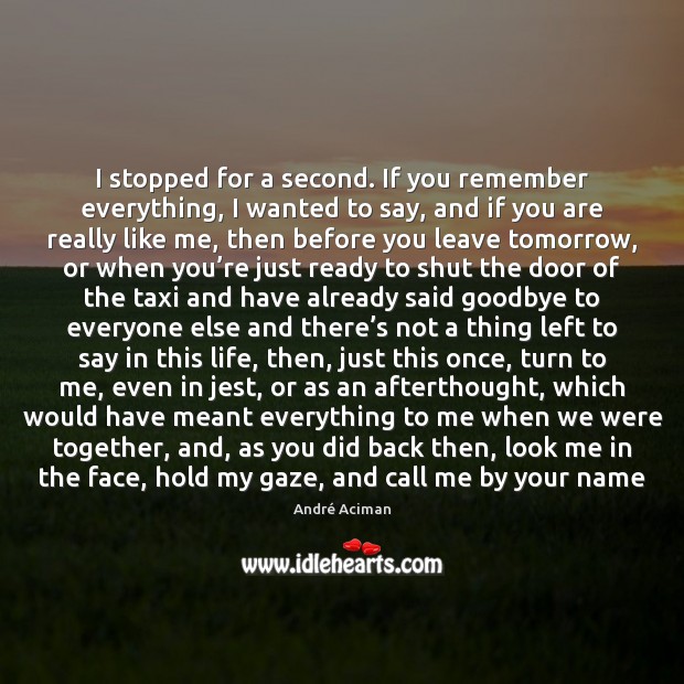 I stopped for a second. If you remember everything, I wanted to Goodbye Quotes Image