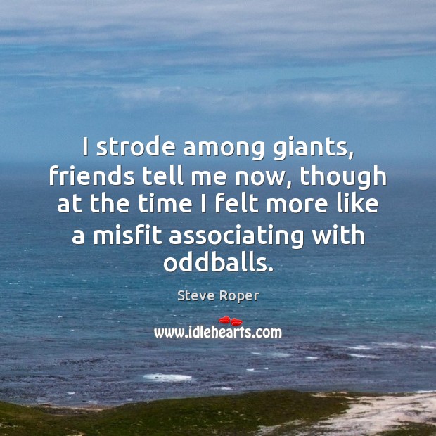 I strode among giants, friends tell me now, though at the time Steve Roper Picture Quote