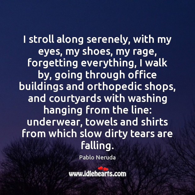 I stroll along serenely, with my eyes, my shoes, my rage, forgetting Pablo Neruda Picture Quote