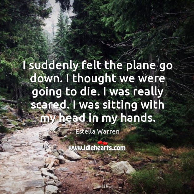 I suddenly felt the plane go down. I thought we were going to die. I was really scared. Estella Warren Picture Quote