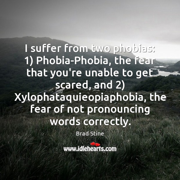 I suffer from two phobias: 1) Phobia-Phobia, the fear that you’re unable to Brad Stine Picture Quote