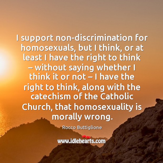 I support non-discrimination for homosexuals, but I think Rocco Buttiglione Picture Quote