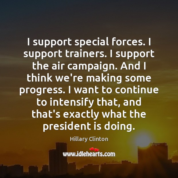 I support special forces. I support trainers. I support the air campaign. Image