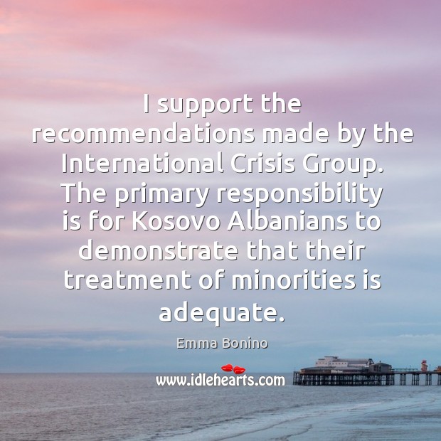 I support the recommendations made by the international crisis group. Emma Bonino Picture Quote