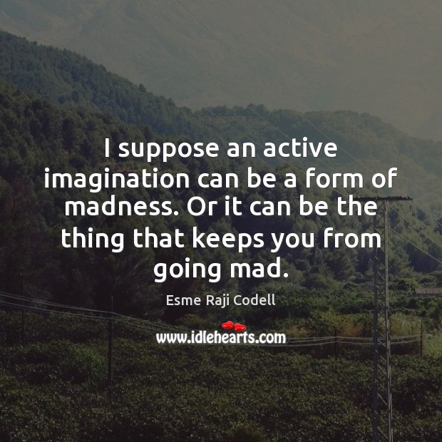 I suppose an active imagination can be a form of madness. Or Esme Raji Codell Picture Quote