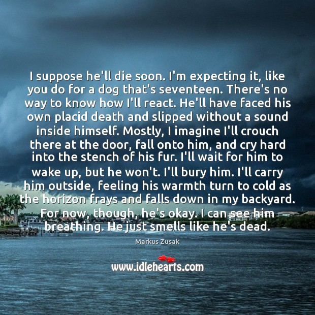 I suppose he’ll die soon. I’m expecting it, like you do for Markus Zusak Picture Quote