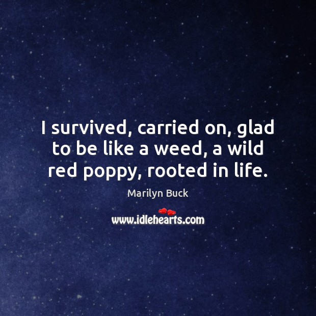 I survived, carried on, glad to be like a weed, a wild red poppy, rooted in life. Marilyn Buck Picture Quote