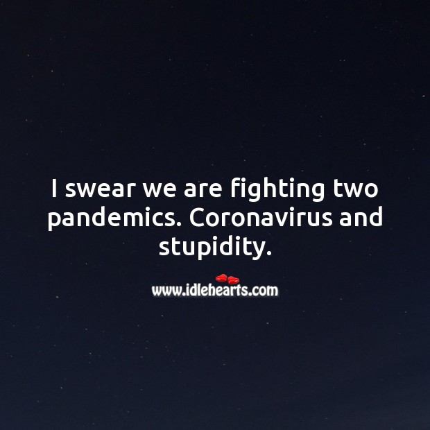 I swear we are fighting two pandemics. Corona Virus and stupidity. Picture Quotes Image