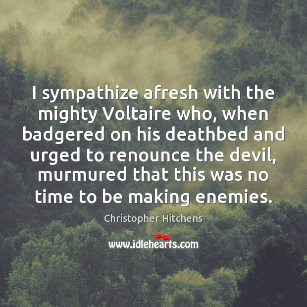 I sympathize afresh with the mighty Voltaire who, when badgered on his Image