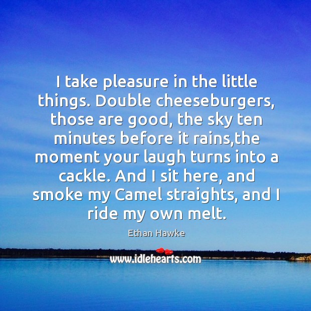 I take pleasure in the little things. Double cheeseburgers, those are good, Ethan Hawke Picture Quote