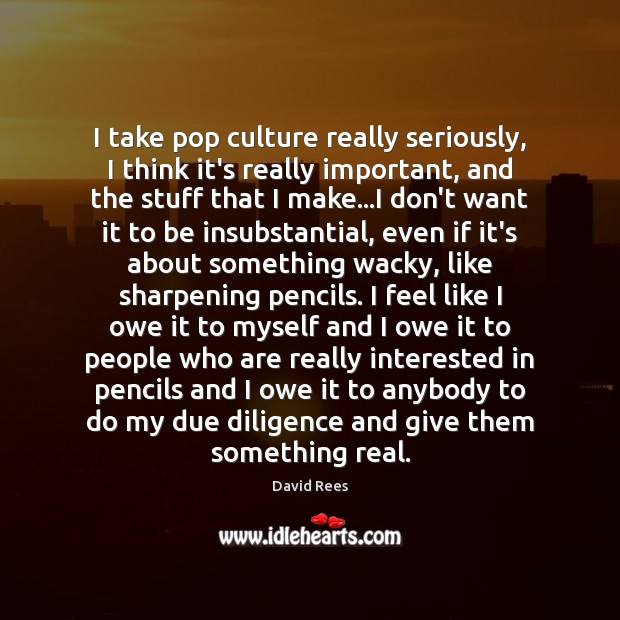 I take pop culture really seriously, I think it’s really important, and David Rees Picture Quote