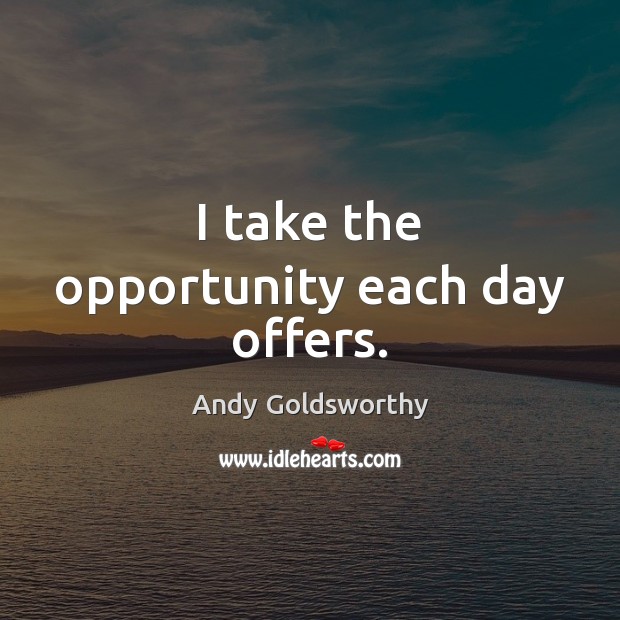 I take the opportunity each day offers. Andy Goldsworthy Picture Quote