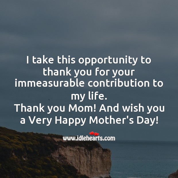 I take this opportunity to thank you for your immeasurable contribution to my life. Mother’s Day Quotes Image