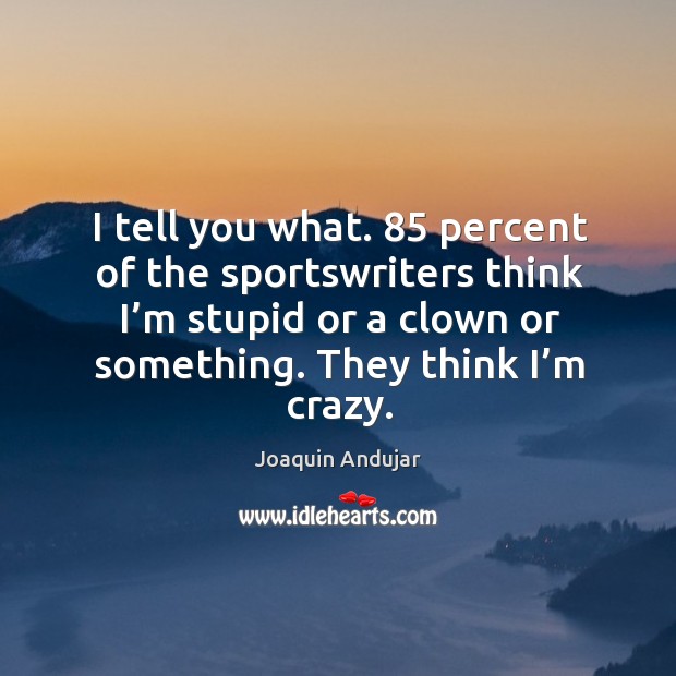 I tell you what. 85 percent of the sportswriters think I’m stupid or a clown or something. Joaquin Andujar Picture Quote