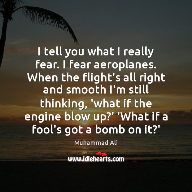 I tell you what I really fear. I fear aeroplanes. When the Image