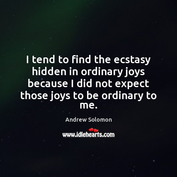 I tend to find the ecstasy hidden in ordinary joys because I Andrew Solomon Picture Quote