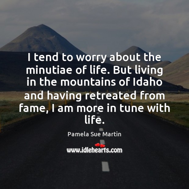 I tend to worry about the minutiae of life. But living in Pamela Sue Martin Picture Quote