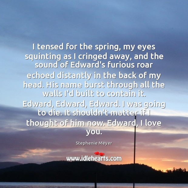 I tensed for the spring, my eyes squinting as I cringed away, Stephenie Meyer Picture Quote