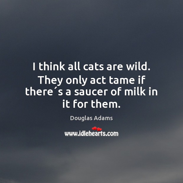 I think all cats are wild. They only act tame if there´s a saucer of milk in it for them. Douglas Adams Picture Quote