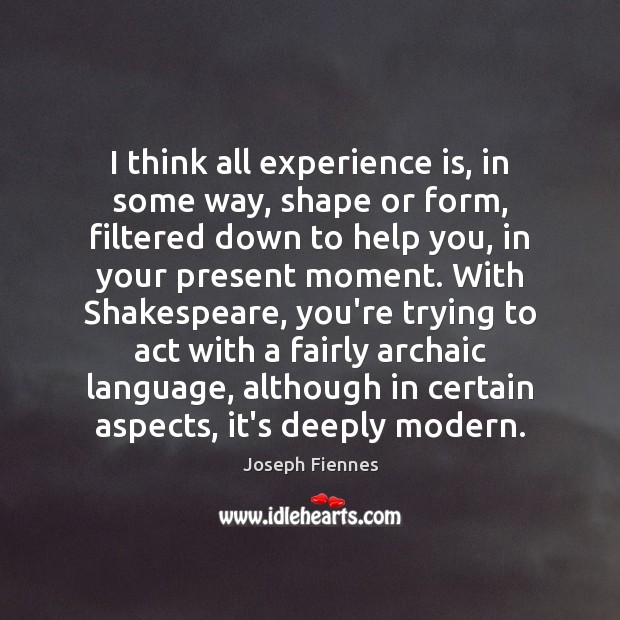 I think all experience is, in some way, shape or form, filtered Joseph Fiennes Picture Quote
