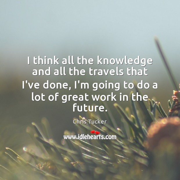 I think all the knowledge and all the travels that I’ve done, Chris Tucker Picture Quote