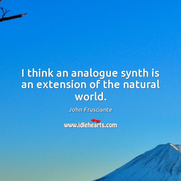 I think an analogue synth is an extension of the natural world. Image