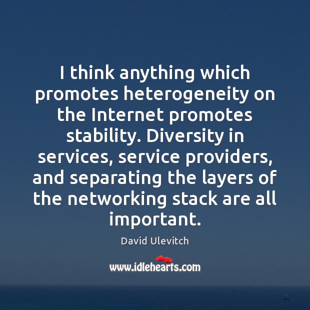 I think anything which promotes heterogeneity on the Internet promotes stability. Diversity David Ulevitch Picture Quote