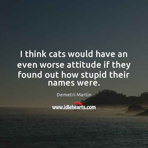 I think cats would have an even worse attitude if they found Demetri Martin Picture Quote