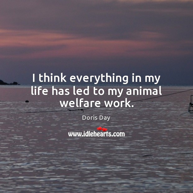 I think everything in my life has led to my animal welfare work. Doris Day Picture Quote