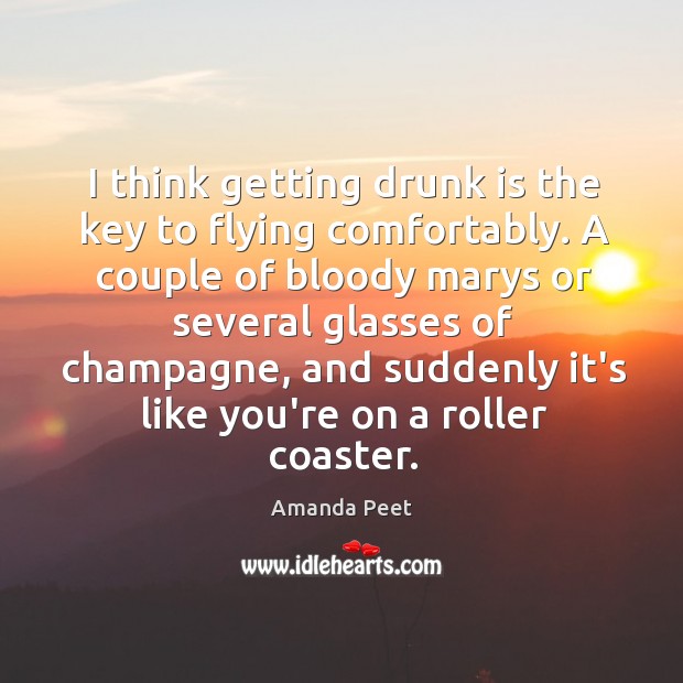 I think getting drunk is the key to flying comfortably. Amanda Peet Picture Quote