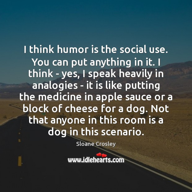 I think humor is the social use. You can put anything in Sloane Crosley Picture Quote