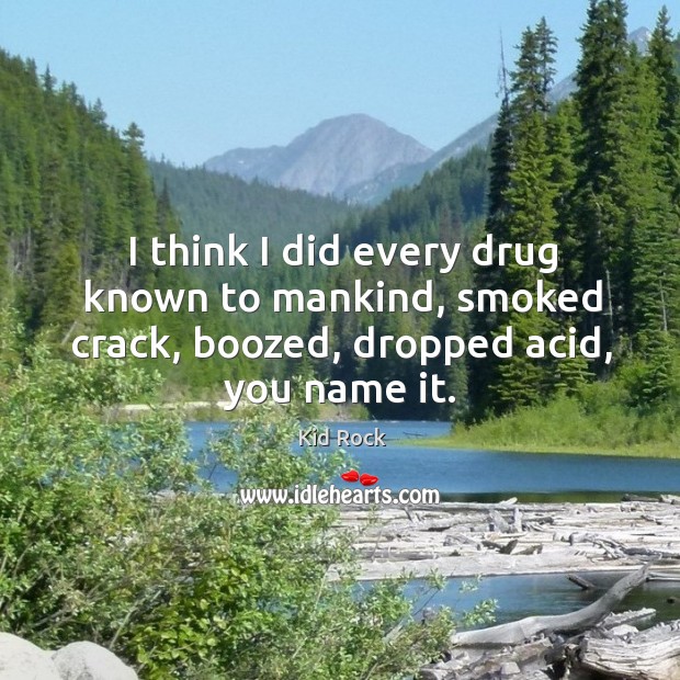 I think I did every drug known to mankind, smoked crack, boozed, dropped acid, you name it. Kid Rock Picture Quote