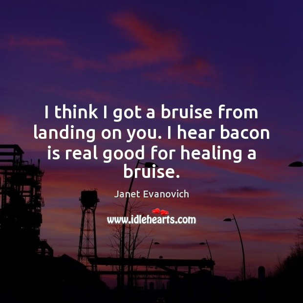 I think I got a bruise from landing on you. I hear Janet Evanovich Picture Quote