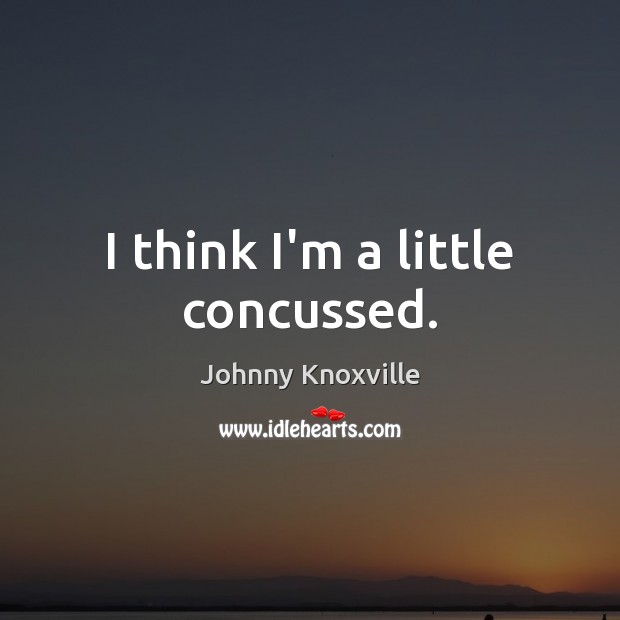 I think I’m a little concussed. Johnny Knoxville Picture Quote