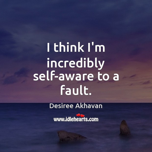 I think I’m incredibly self-aware to a fault. Desiree Akhavan Picture Quote