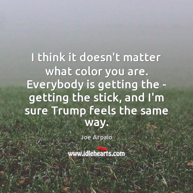 I think it doesn’t matter what color you are. Everybody is getting Joe Arpaio Picture Quote
