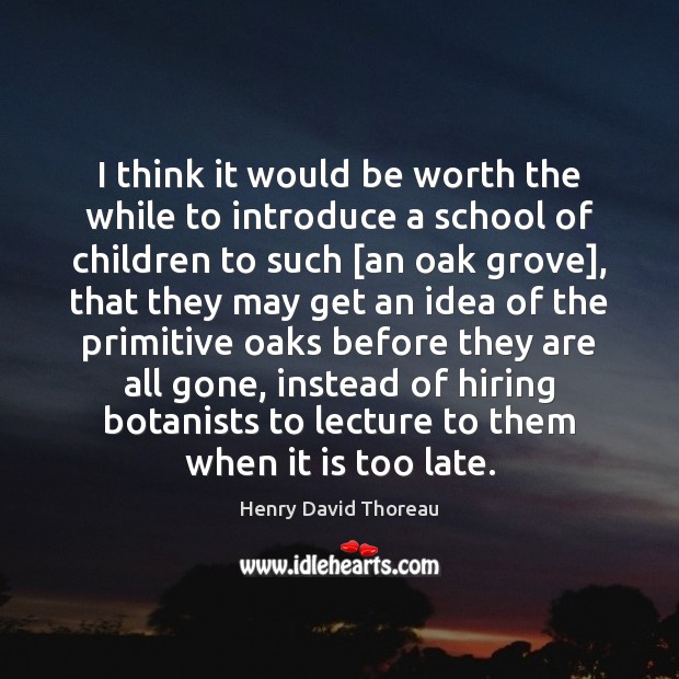 I think it would be worth the while to introduce a school Henry David Thoreau Picture Quote