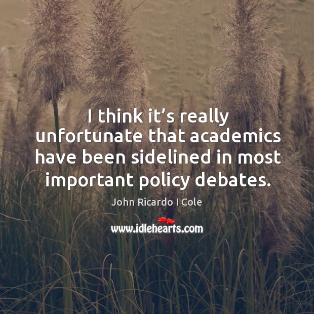 I think it’s really unfortunate that academics have been sidelined in most important policy debates. 