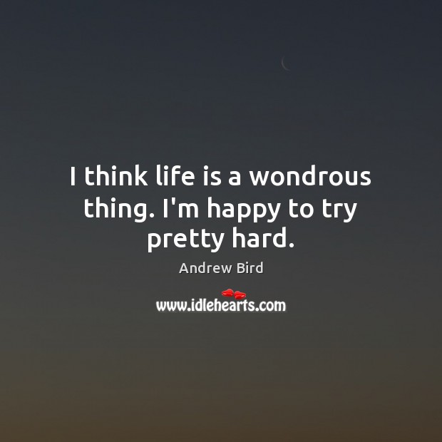 I think life is a wondrous thing. I’m happy to try pretty hard. Andrew Bird Picture Quote