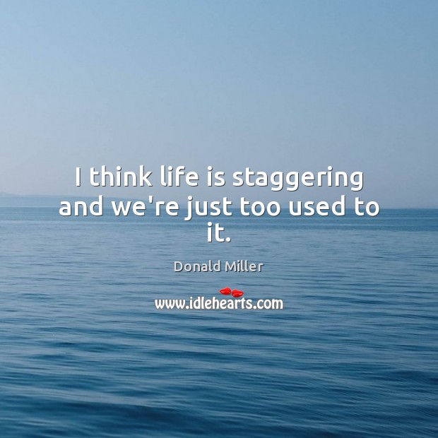 I think life is staggering and we’re just too used to it. Donald Miller Picture Quote