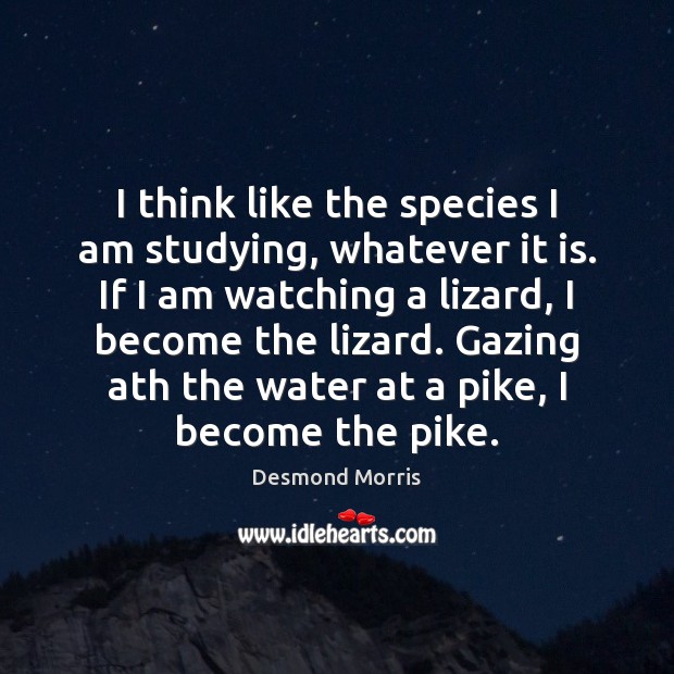 I think like the species I am studying, whatever it is. If Desmond Morris Picture Quote