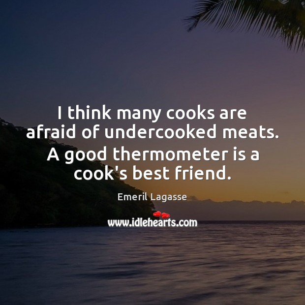 I think many cooks are afraid of undercooked meats. A good thermometer Emeril Lagasse Picture Quote