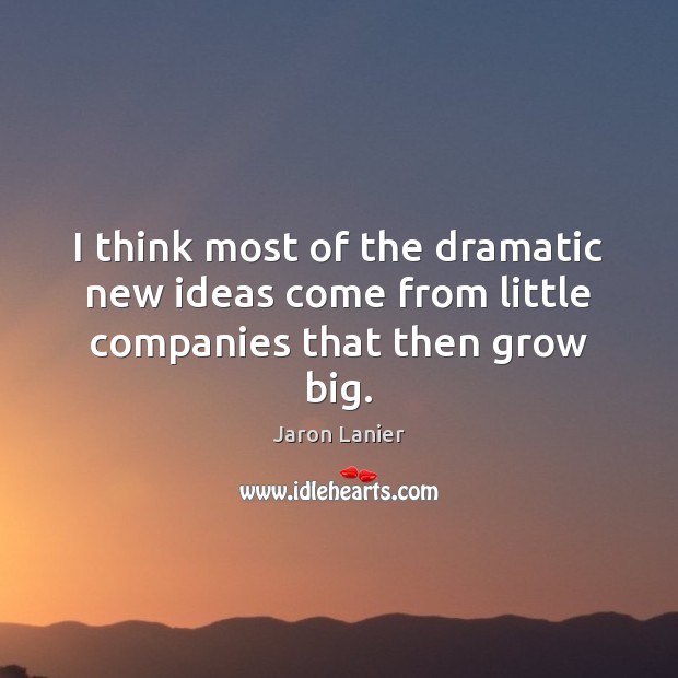 I think most of the dramatic new ideas come from little companies that then grow big. Jaron Lanier Picture Quote