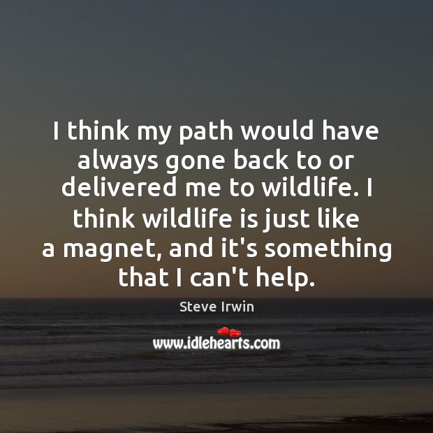 I think my path would have always gone back to or delivered Steve Irwin Picture Quote