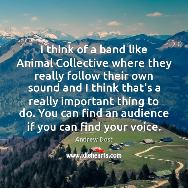 I think of a band like Animal Collective where they really follow 