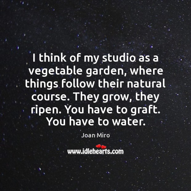 I think of my studio as a vegetable garden, where things follow Joan Miro Picture Quote