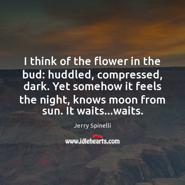 I think of the flower in the bud: huddled, compressed, dark. Yet Flowers Quotes Image