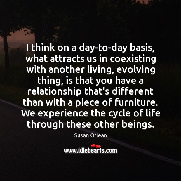 I think on a day-to-day basis, what attracts us in coexisting with Susan Orlean Picture Quote