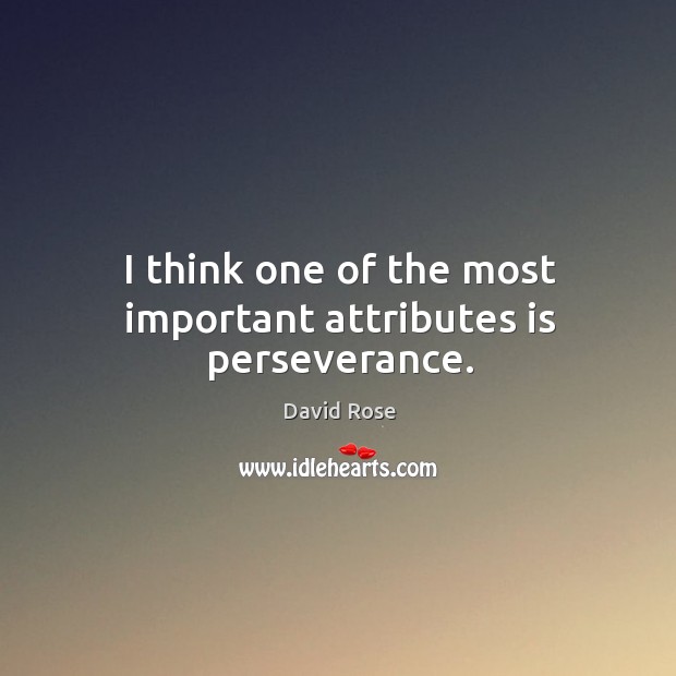 I think one of the most important attributes is perseverance. David Rose Picture Quote