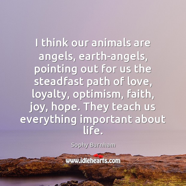 I think our animals are angels, earth-angels, pointing out for us the Sophy Burnham Picture Quote